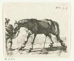 Cheval urinant